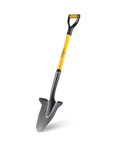 Maximus quam posuere