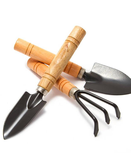 Curabitur cursus dignis