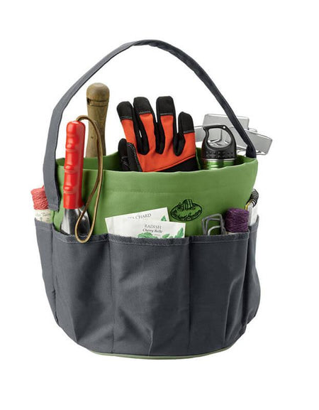 Curabitur cursus dignis