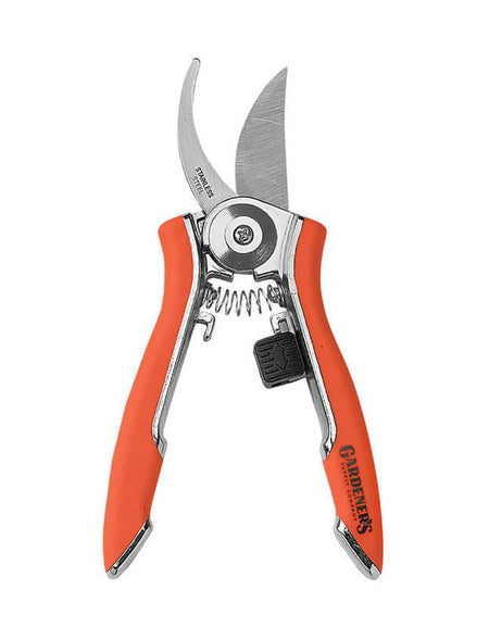 Donec aliquam ante non