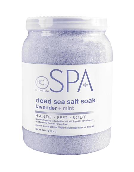 Blue Lace Long Sleeve Dress